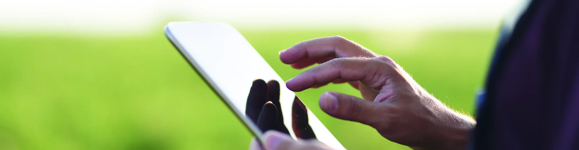 gettyimages-902706814