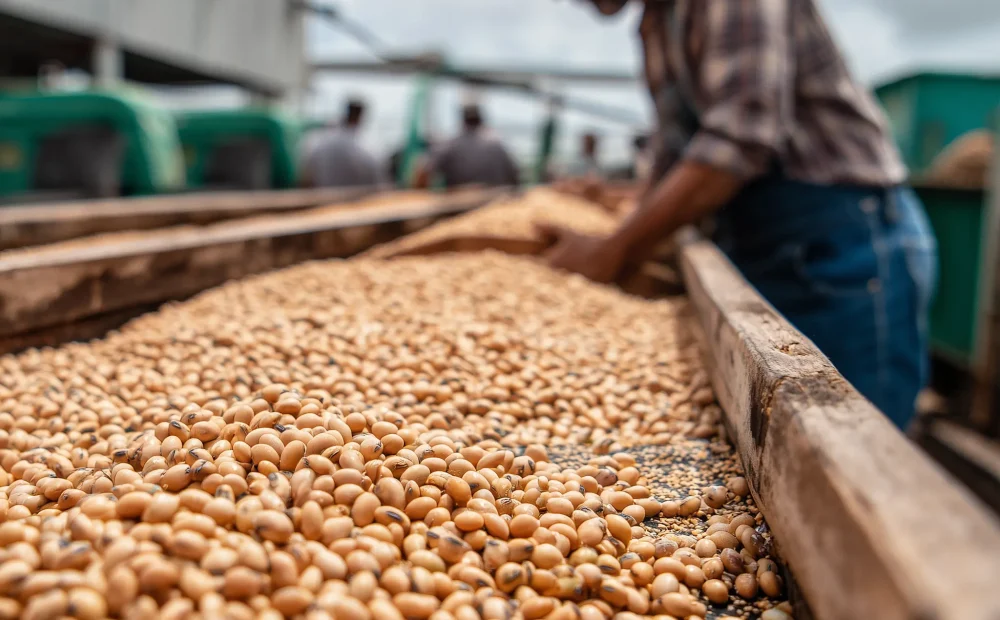 u2562214851_Foto_profissional_do_agronegcio_mostrando_apenas_gr_1424947d-32c9-417e-a611-6ba1a7104395