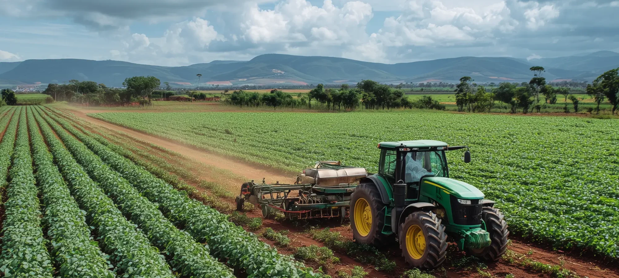 u2562214851_foto_profissional_agroindustria_fazenda_plantaes_mi_e047655d-870d-448e-bd25-2efc02f9a821